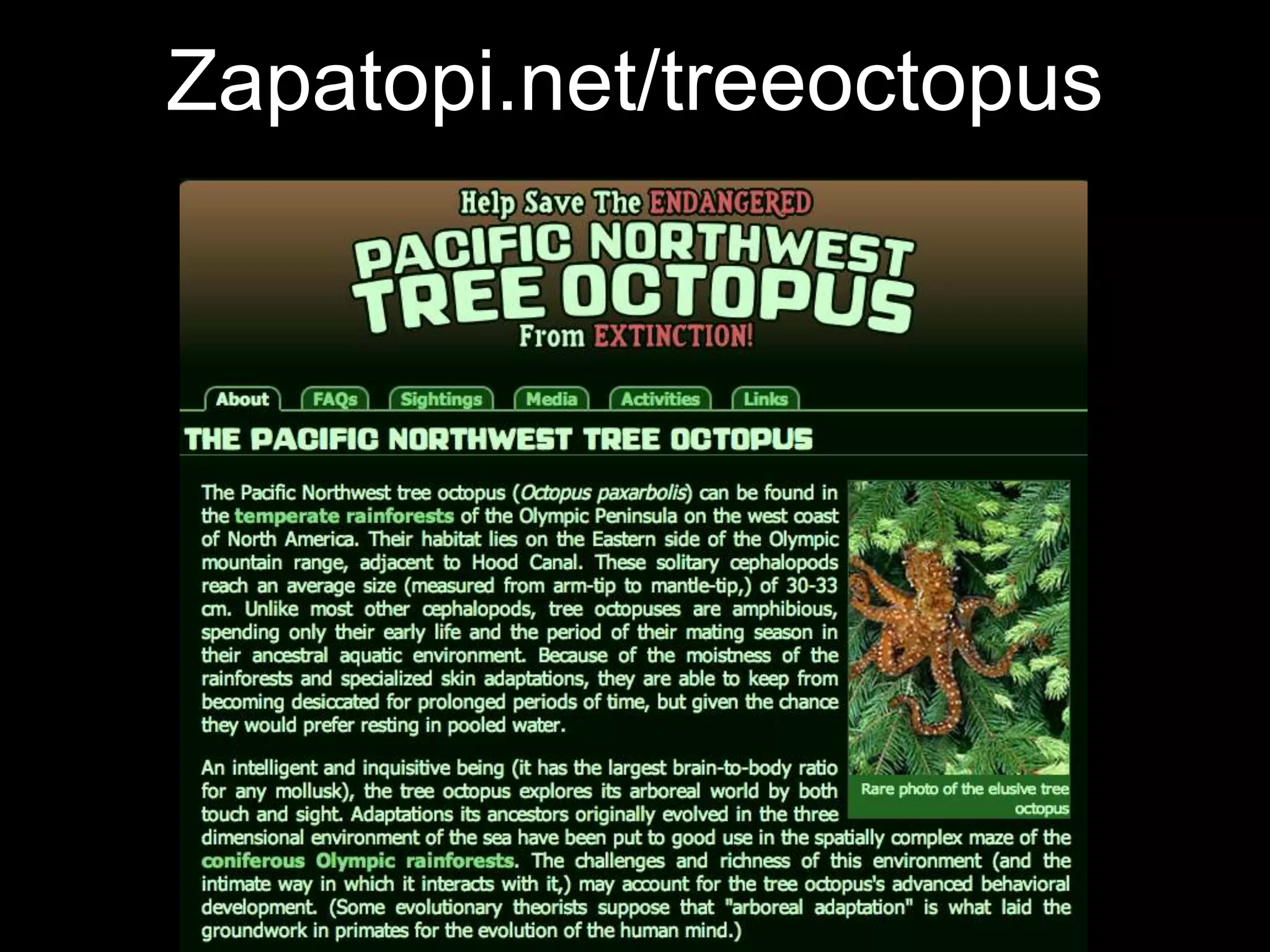 Zapatopi.net/treeoctopus

 