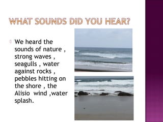  We heard the
sounds of nature ,
strong waves ,
seagulls , water
against rocks ,
pebbles hitting on
the shore , the
Alisio wind ,water
splash.
 