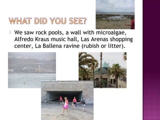  We saw rock pools, a wall with microalgae,
Alfredo Kraus music hall, Las Arenas shopping
center, La Ballena ravine (rubish or litter).
 
