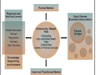 From research outputs to development outcomes:  Fostering innovation in pastoralist systems
