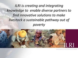 From research outputs to development outcomes:  Fostering innovation in pastoralist systems