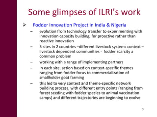 From research outputs to development outcomes:  Fostering innovation in pastoralist systems