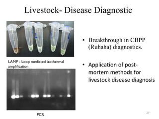 Livestock- Disease Diagnostic <ul><li>Breakthrough in CBPP (Ruhaha) diagnostics. </li></ul><ul><li>Application of post-mor...