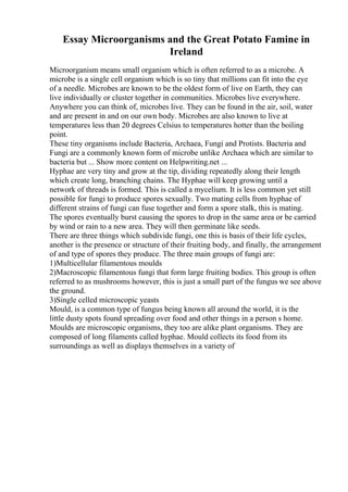 Essay Microorganisms and the Great Potato Famine in
Ireland
Microorganism means small organism which is often referred to as a microbe. A
microbe is a single cell organism which is so tiny that millions can fit into the eye
of a needle. Microbes are known to be the oldest form of live on Earth, they can
live individually or cluster together in communities. Microbes live everywhere.
Anywhere you can think of, microbes live. They can be found in the air, soil, water
and are present in and on our own body. Microbes are also known to live at
temperatures less than 20 degrees Celsius to temperatures hotter than the boiling
point.
These tiny organisms include Bacteria, Archaea, Fungi and Protists. Bacteria and
Fungi are a commonly known form of microbe unlike Archaea which are similar to
bacteria but ... Show more content on Helpwriting.net ...
Hyphae are very tiny and grow at the tip, dividing repeatedly along their length
which create long, branching chains. The Hyphae will keep growing until a
network of threads is formed. This is called a mycelium. It is less common yet still
possible for fungi to produce spores sexually. Two mating cells from hyphae of
different strains of fungi can fuse together and form a spore stalk, this is mating.
The spores eventually burst causing the spores to drop in the same area or be carried
by wind or rain to a new area. They will then germinate like seeds.
There are three things which subdivide fungi, one this is basis of their life cycles,
another is the presence or structure of their fruiting body, and finally, the arrangement
of and type of spores they produce. The three main groups of fungi are:
1)Multicellular filamentous moulds
2)Macroscopic filamentous fungi that form large fruiting bodies. This group is often
referred to as mushrooms however, this is just a small part of the fungus we see above
the ground.
3)Single celled microscopic yeasts
Mould, is a common type of fungus being known all around the world, it is the
little dusty spots found spreading over food and other things in a person s home.
Moulds are microscopic organisms, they too are alike plant organisms. They are
composed of long filaments called hyphae. Mould collects its food from its
surroundings as well as displays themselves in a variety of
 