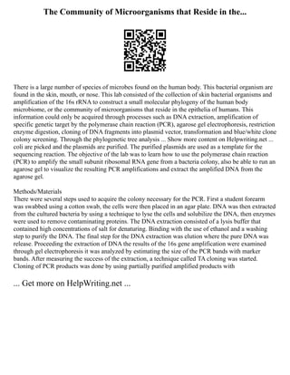 The Community of Microorganisms that Reside in the...
There is a large number of species of microbes found on the human body. This bacterial organism are
found in the skin, mouth, or nose. This lab consisted of the collection of skin bacterial organisms and
amplification of the 16s rRNA to construct a small molecular phylogeny of the human body
microbiome, or the community of microorganisms that reside in the epithelia of humans. This
information could only be acquired through processes such as DNA extraction, amplification of
specific genetic target by the polymerase chain reaction (PCR), agarose gel electrophoresis, restriction
enzyme digestion, cloning of DNA fragments into plasmid vector, transformation and blue/white clone
colony screening. Through the phylogenetic tree analysis ... Show more content on Helpwriting.net ...
coli are picked and the plasmids are purified. The purified plasmids are used as a template for the
sequencing reaction. The objective of the lab was to learn how to use the polymerase chain reaction
(PCR) to amplify the small subunit ribosomal RNA gene from a bacteria colony, also be able to run an
agarose gel to visualize the resulting PCR amplifications and extract the amplified DNA from the
agarose gel.
Methods/Materials
There were several steps used to acquire the colony necessary for the PCR. First a student forearm
was swabbed using a cotton swab, the cells were then placed in an agar plate. DNA was then extracted
from the cultured bacteria by using a technique to lyse the cells and solubilize the DNA, then enzymes
were used to remove contaminating proteins. The DNA extraction consisted of a lysis buffer that
contained high concentrations of salt for denaturing. Binding with the use of ethanol and a washing
step to purify the DNA. The final step for the DNA extraction was elution where the pure DNA was
release. Proceeding the extraction of DNA the results of the 16s gene amplification were examined
through gel electrophoresis it was analyzed by estimating the size of the PCR bands with marker
bands. After measuring the success of the extraction, a technique called TA cloning was started.
Cloning of PCR products was done by using partially purified amplified products with
... Get more on HelpWriting.net ...
 