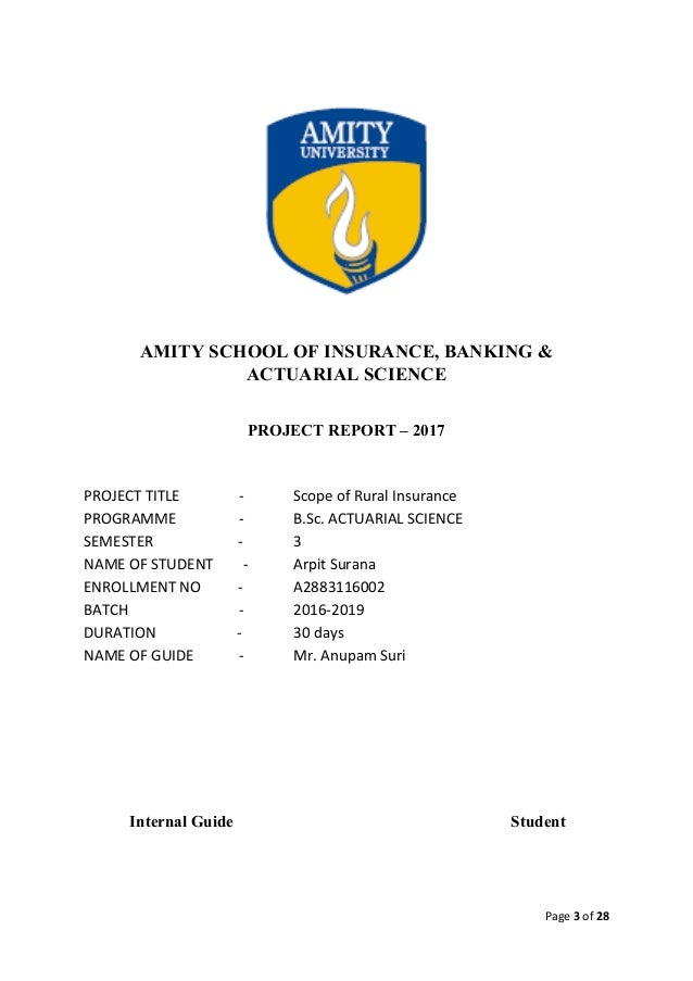 Insurance term paper