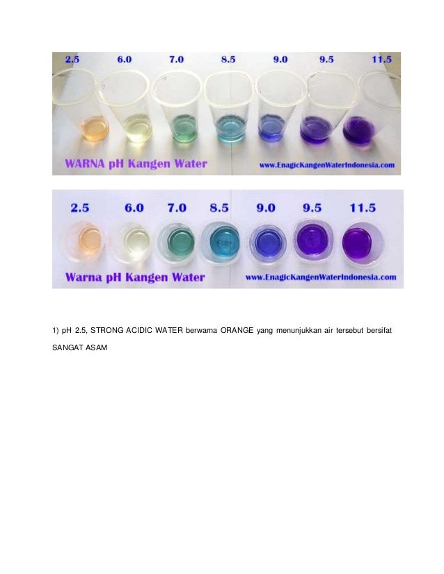 Research paper kangen water test warna ph air kangen water