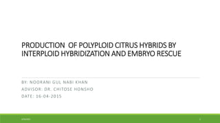 PRODUCTION OF POLYPLOID CITRUS HYBRIDS BY
INTERPLOID HYBRIDIZATION AND EMBRYO RESCUE
BY: NOORANI GUL NABI KHAN
ADVISOR: DR. CHITOSE HONSHO
DATE: 16-04-2015
4/16/2015 1
 