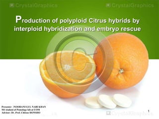 Production of polyploid Citrus hybrids by 
interploid hybridization and embryo rescue 
Presenter :NOORANI GUL NABI KHAN 
M1 student of Pomology lab at UOM 
Advisor: Dr. Prof. Chitose HONSHO 
1 
 