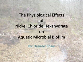The Physiological Effects
                                        of
                           Nickel Chloride Hexahydrate
                                        on
                            Aquatic Microbial Biofilm
                                                  By: Desiree’ Shaw


Background at http://faculty.uca.edu/sentrekin/
 