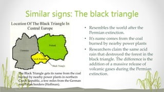 • Resembles the world after the
Permian extinction.
• It’s name comes from the coal
burned by nearby power plants
• Researchers claim the same acid
rain that destroyed the forest in the
black triangle. The difference is the
addition of a massive release of
volcanic gases during the Permian
extinction.
Similar signs: The black triangle
The Black Triangle gets its name from the coal
burned by nearby power plants in northern
Czech Republic, a few miles from the German
and Polish borders (Hoffman).
 