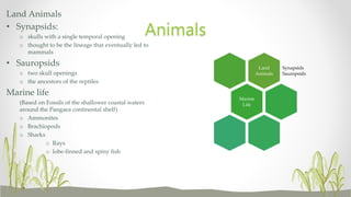 Land
Animals
Synapsids
Sauropsids
Marine
Life
Land Animals
• Synapsids:
o skulls with a single temporal opening
o thought to be the lineage that eventually led to
mammals
• Sauropsids
o two skull openings
o the ancestors of the reptiles
Marine life
(Based on Fossils of the shallower coastal waters
around the Pangaea continental shelf)
o Ammonites
o Brachiopods
o Sharks
o Rays
o lobe-finned and spiny fish
Animals
 
