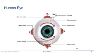 Human Eye
6Eye Tracker use in Computer Science Research Work
 