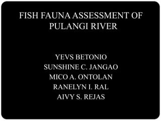 FISH FAUNAASSESSMENT OF
PULANGI RIVER
YEVS BETONIO
SUNSHINE C. JANGAO
MICO A. ONTOLAN
RANELYN I. RAL
AIVY S. REJAS
 