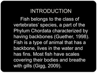 Fish Introduction Simple ResearchPresentation.G-2.pptx