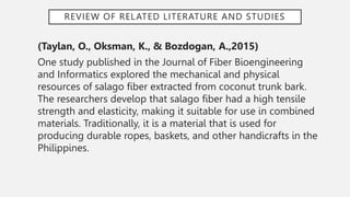 REVIEW OF RELATED LITERATURE AND STUDIES
(Taylan, O., Oksman, K., & Bozdogan, A.,2015)
One study published in the Journal of Fiber Bioengineering
and Informatics explored the mechanical and physical
resources of salago fiber extracted from coconut trunk bark.
The researchers develop that salago fiber had a high tensile
strength and elasticity, making it suitable for use in combined
materials. Traditionally, it is a material that is used for
producing durable ropes, baskets, and other handicrafts in the
Philippines.
 