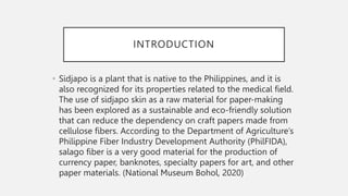 INTRODUCTION
• Sidjapo is a plant that is native to the Philippines, and it is
also recognized for its properties related to the medical field.
The use of sidjapo skin as a raw material for paper-making
has been explored as a sustainable and eco-friendly solution
that can reduce the dependency on craft papers made from
cellulose fibers. According to the Department of Agriculture’s
Philippine Fiber Industry Development Authority (PhilFIDA),
salago fiber is a very good material for the production of
currency paper, banknotes, specialty papers for art, and other
paper materials. (National Museum Bohol, 2020)
 