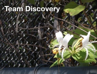 Team Discovery
 