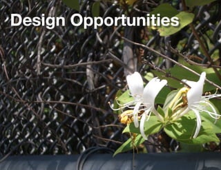 Design Opportunities
 