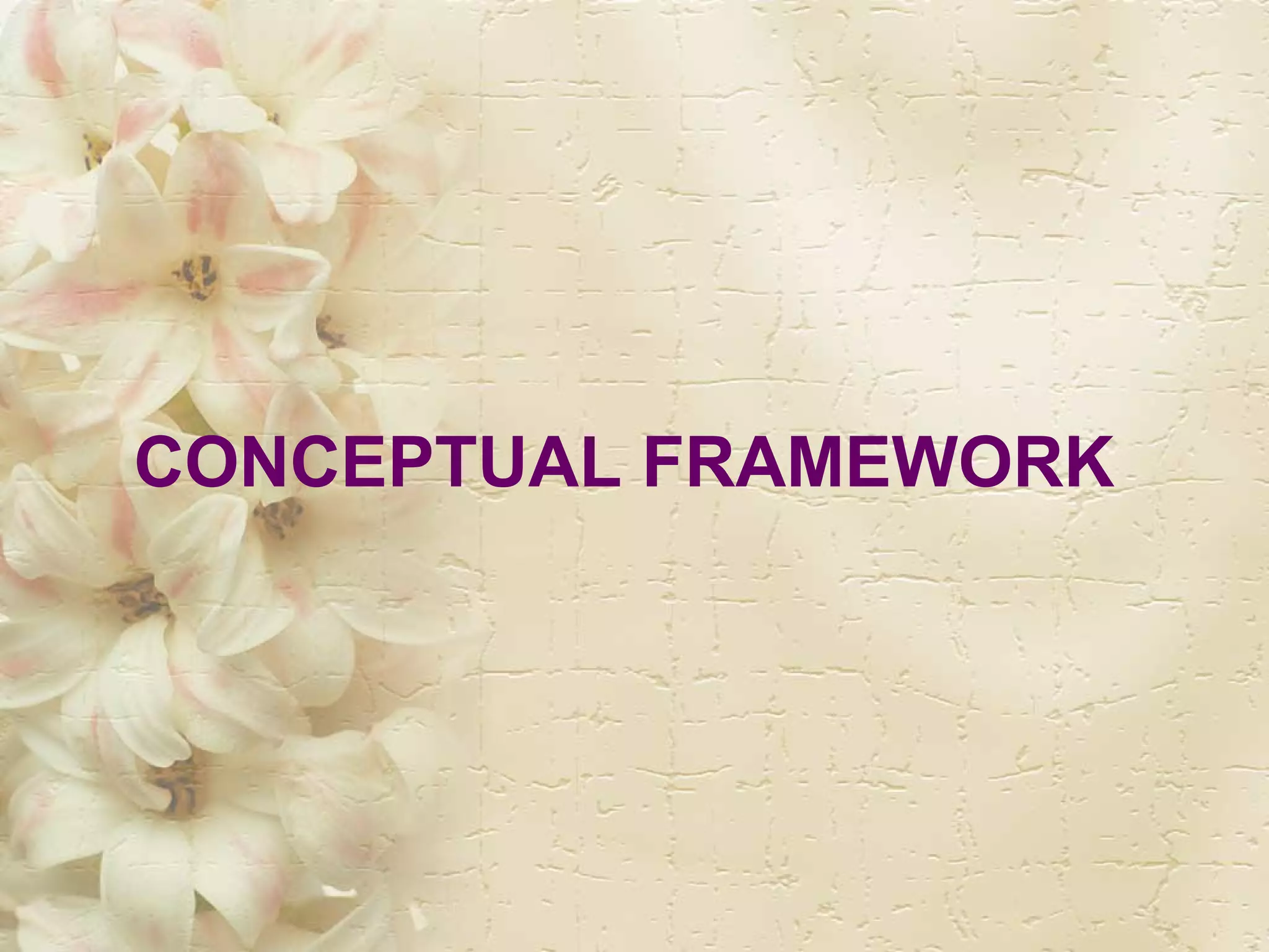 CONCEPTUAL FRAMEWORK 