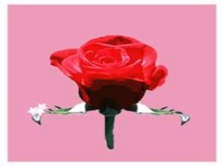 research problem hypothesis lec- 4.ppt