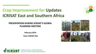 Crop Improvement for Updates
ICRISAT East and Southern Africa
PRESENTATION DURING ICRISAT’S GLOBAL
PLANNING MEETING
February 2019
Team ICRISAT ESA
 