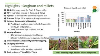 ICRISAT Global Planning Meeting 2019: Research Program - Crop Improvement update by ICRISAT ESA team