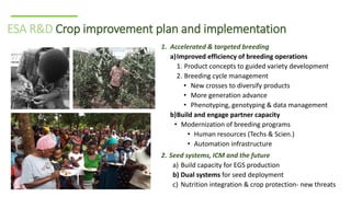 ICRISAT Global Planning Meeting 2019: Research Program - Crop Improvement update by ICRISAT ESA team