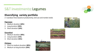 ICRISAT Global Planning Meeting 2019: Research Program - Crop Improvement update by ICRISAT ESA team