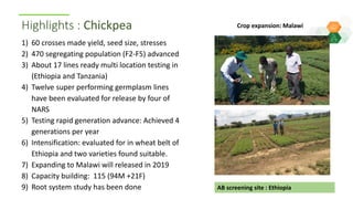 ICRISAT Global Planning Meeting 2019: Research Program - Crop Improvement update by ICRISAT ESA team