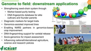 ICRISAT Global Planning Meeting 2019:Research Program - Genetic Gains by Dr Rajeev Varshney and Team