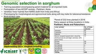 ICRISAT Global Planning Meeting 2019:Research Program - Genetic Gains by Dr Rajeev Varshney and Team