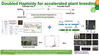 ICRISAT Global Planning Meeting 2019:Research Program - Genetic Gains by Dr Rajeev Varshney and Team