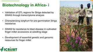 ICRISAT Global Planning Meeting 2019:Research Program - Genetic Gains by Dr Rajeev Varshney and Team