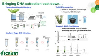ICRISAT Global Planning Meeting 2019:Research Program - Genetic Gains by Dr Rajeev Varshney and Team
