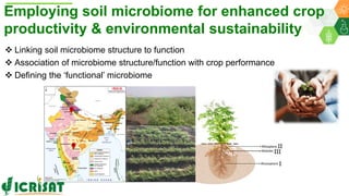 ICRISAT Global Planning Meeting 2019:Research Program - Genetic Gains by Dr Rajeev Varshney and Team