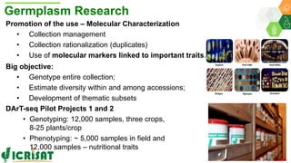 ICRISAT Global Planning Meeting 2019:Research Program - Genetic Gains by Dr Rajeev Varshney and Team