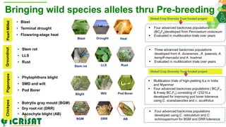ICRISAT Global Planning Meeting 2019:Research Program - Genetic Gains by Dr Rajeev Varshney and Team
