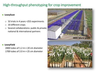 ICRISAT Global Planning Meeting 2019:Research Program - Innovation Systems for the Drylands (ISD)  by Dr Anthony Whitbread and Team