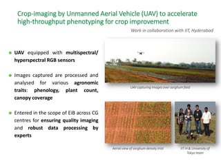 ICRISAT Global Planning Meeting 2019:Research Program - Innovation Systems for the Drylands (ISD)  by Dr Anthony Whitbread and Team
