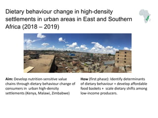 ICRISAT Global Planning Meeting 2019:Research Program - Innovation Systems for the Drylands (ISD)  by Dr Anthony Whitbread and Team