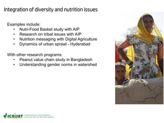 ICRISAT Global Planning Meeting 2019:Research Program - Innovation Systems for the Drylands (ISD)  by Dr Anthony Whitbread and Team