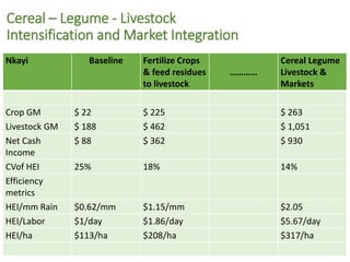 ICRISAT Global Planning Meeting 2019:Research Program - Innovation Systems for the Drylands (ISD)  by Dr Anthony Whitbread and Team