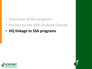 Research program on dryland cereals