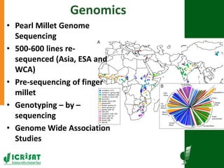 Research program on dryland cereals