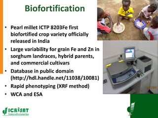 Research program on dryland cereals