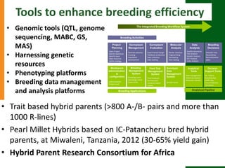 Research program on dryland cereals