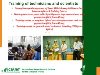 Research program on dryland cereals