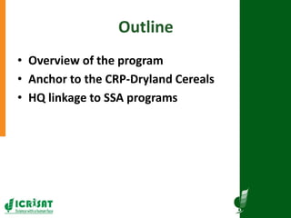 Research program on dryland cereals