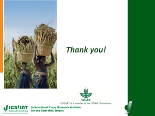 Research program on dryland cereals